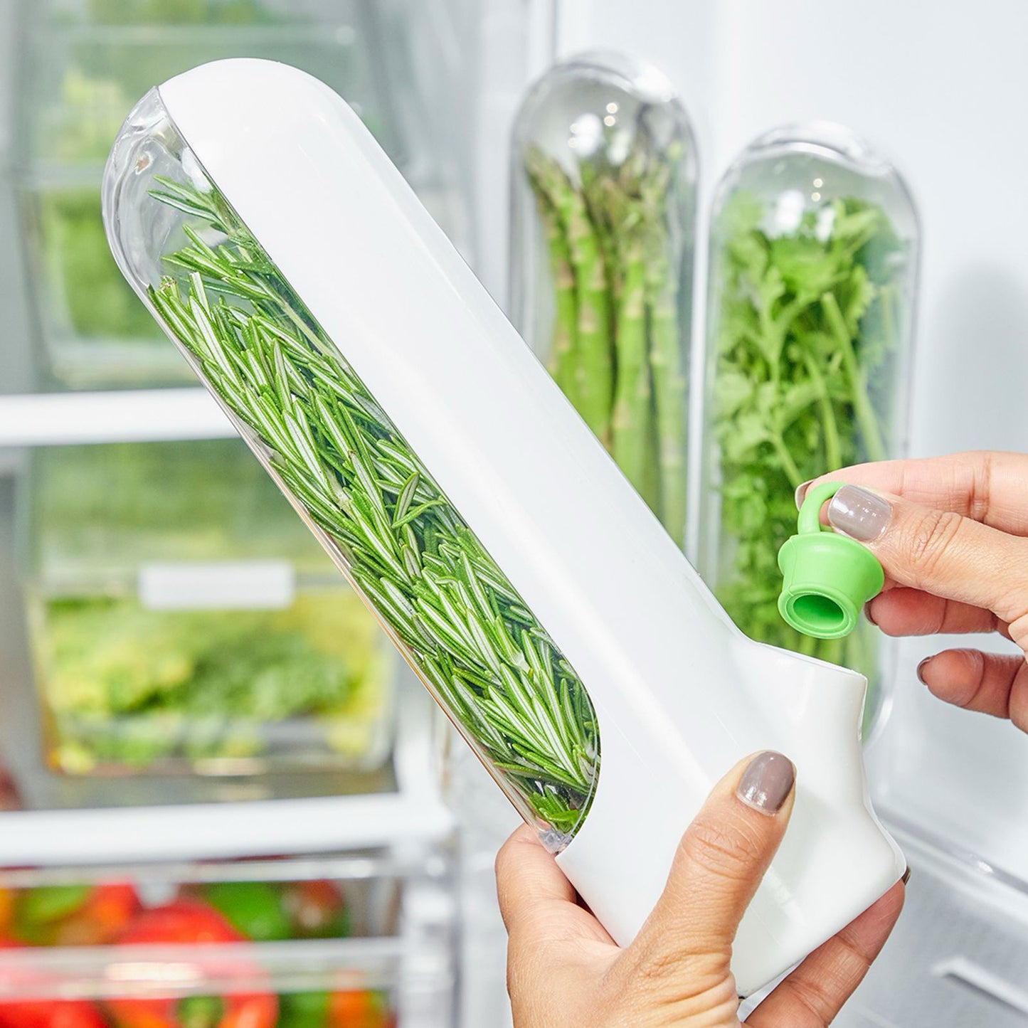 CONTENEDOR PARA HIERBAS EN REFRIGERADOR + ENVÍO GRATIS